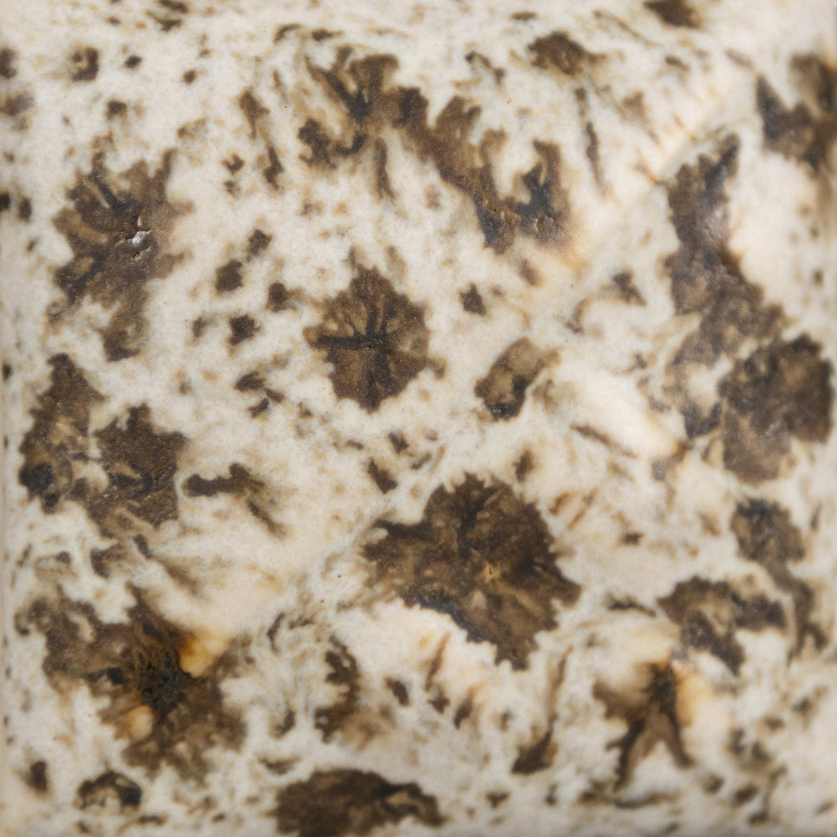 Mayco SW155 Winter Wood fired glaze sample, cone 6
