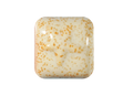 Laguna RG-1 Mushroom