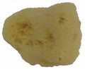 Natural Silk Sponge #3 - 2.5" to 3"