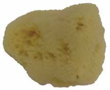 Natural Silk Sponge #3 - 2.5" to 3"
